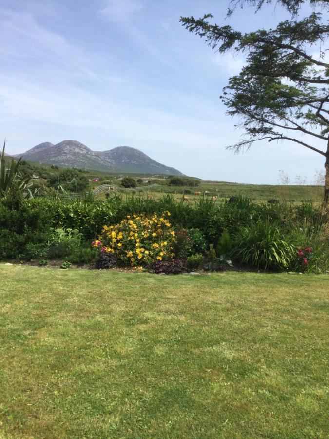 Tullybeggs B&B Clifden Eksteriør billede
