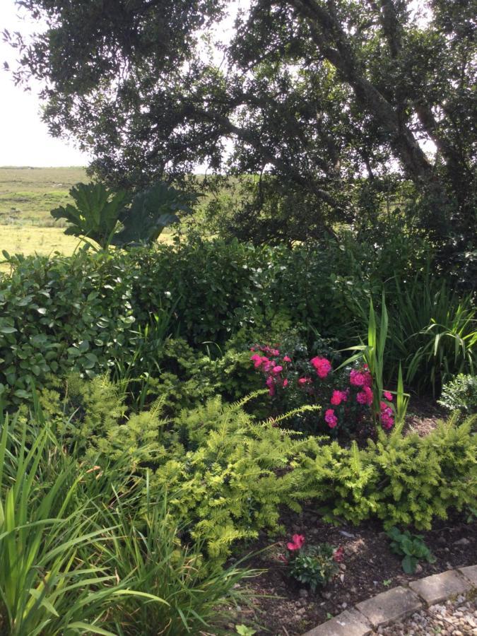 Tullybeggs B&B Clifden Eksteriør billede
